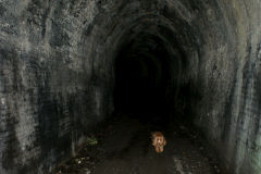 
Prices Tunnel interior, September 2009